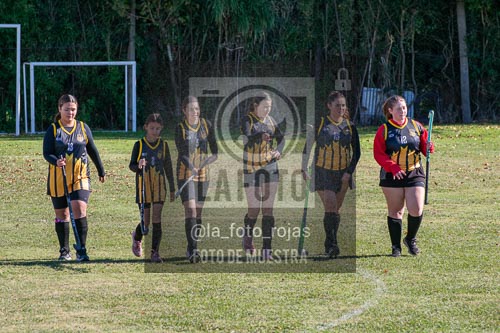 Fotografía H-100 de (03) 2026-05-10 Nerwbery 12 de Octubre