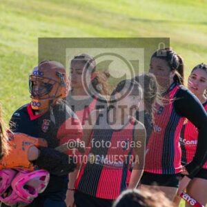 Fotografía H-103 de (03) 2026-05-10 Nerwbery 12 de Octubre