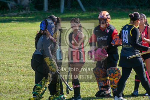 Fotografía H-104 de (03) 2026-05-10 Nerwbery 12 de Octubre
