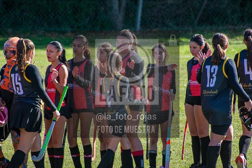 Fotografía H-105 de (03) 2026-05-10 Nerwbery 12 de Octubre