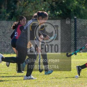 Fotografía H-106 de (03) 2026-05-10 Nerwbery 12 de Octubre
