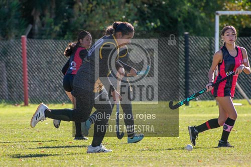 Fotografía H-106 de (03) 2026-05-10 Nerwbery 12 de Octubre