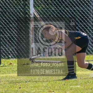 Fotografía H-107 de (03) 2026-05-10 Nerwbery 12 de Octubre
