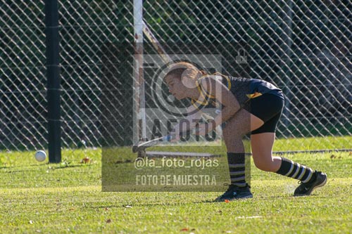 Fotografía H-107 de (03) 2026-05-10 Nerwbery 12 de Octubre