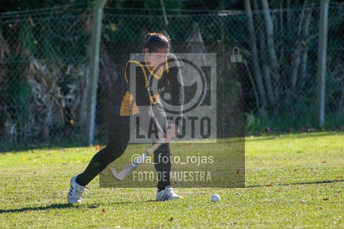 Fotografía H-108 de (03) 2026-05-10 Nerwbery 12 de Octubre