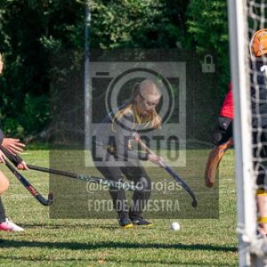 Fotografía H-11-1 de (03) 2026-05-10 Nerwbery 12 de Octubre