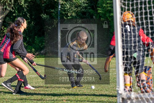 Fotografía H-11-1 de (03) 2026-05-10 Nerwbery 12 de Octubre
