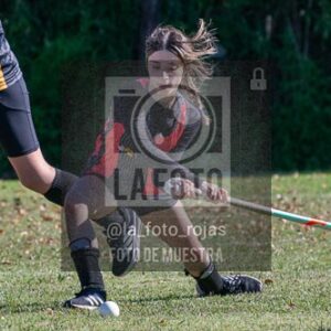 Fotografía H-110 de (03) 2026-05-10 Nerwbery 12 de Octubre