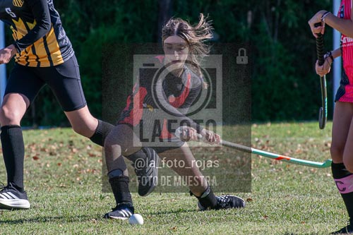 Fotografía H-110 de (03) 2026-05-10 Nerwbery 12 de Octubre