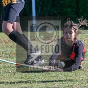 Fotografía H-111 de (03) 2026-05-10 Nerwbery 12 de Octubre