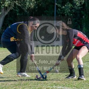 Fotografía H-112 de (03) 2026-05-10 Nerwbery 12 de Octubre