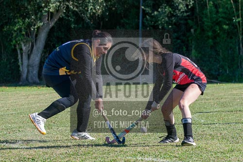 Fotografía H-112 de (03) 2026-05-10 Nerwbery 12 de Octubre
