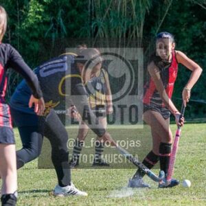 Fotografía H-113 de (03) 2026-05-10 Nerwbery 12 de Octubre