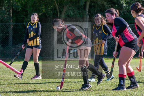 Fotografía H-114 de (03) 2026-05-10 Nerwbery 12 de Octubre