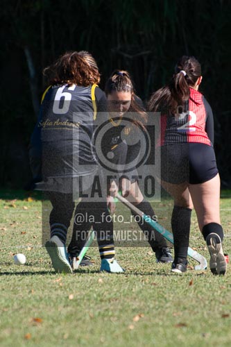 Fotografía H-116 de (03) 2026-05-10 Nerwbery 12 de Octubre