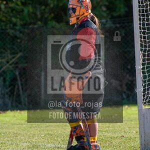Fotografía H-119 de (03) 2026-05-10 Nerwbery 12 de Octubre