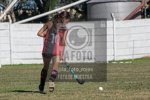 Fotografía H-121 de (03) 2026-05-10 Nerwbery 12 de Octubre