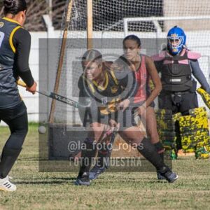 Fotografía H-122 de (03) 2026-05-10 Nerwbery 12 de Octubre