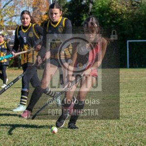 Fotografía H-123 de (03) 2026-05-10 Nerwbery 12 de Octubre