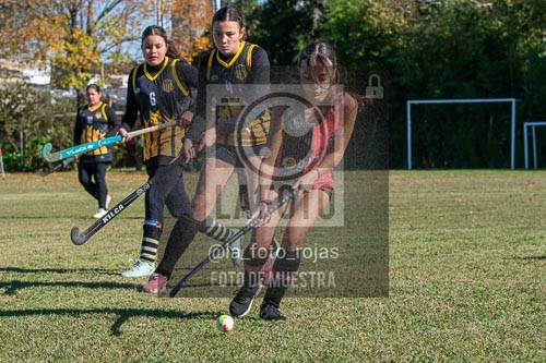 Fotografía H-123 de (03) 2026-05-10 Nerwbery 12 de Octubre