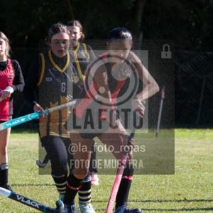 Fotografía H-127 de (03) 2026-05-10 Nerwbery 12 de Octubre