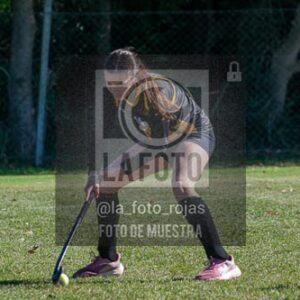 Fotografía H-128 de (03) 2026-05-10 Nerwbery 12 de Octubre