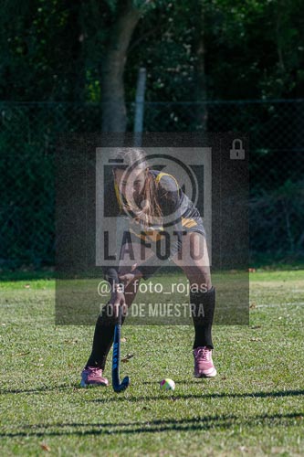 Fotografía H-129 de (03) 2026-05-10 Nerwbery 12 de Octubre