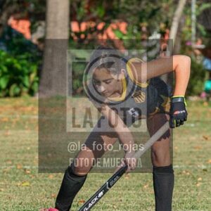 Fotografía H-13-1 de (03) 2026-05-10 Nerwbery 12 de Octubre