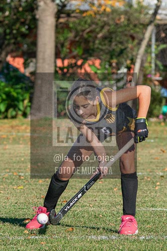 Fotografía H-13-1 de (03) 2026-05-10 Nerwbery 12 de Octubre