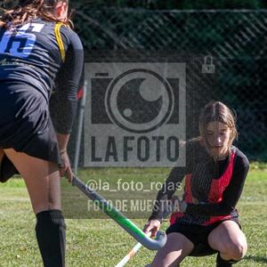 Fotografía H-130 de (03) 2026-05-10 Nerwbery 12 de Octubre