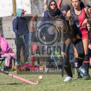 Fotografía H-134 de (03) 2026-05-10 Nerwbery 12 de Octubre