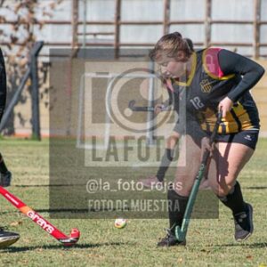 Fotografía H-137 de (03) 2026-05-10 Nerwbery 12 de Octubre