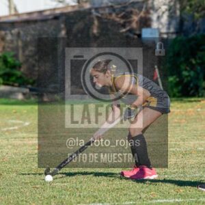 Fotografía H-14-1 de (03) 2026-05-10 Nerwbery 12 de Octubre
