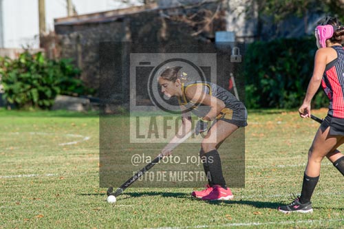 Fotografía H-14-1 de (03) 2026-05-10 Nerwbery 12 de Octubre