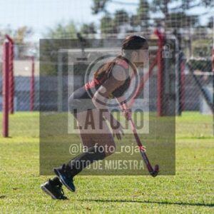 Fotografía H-140 de (03) 2026-05-10 Nerwbery 12 de Octubre