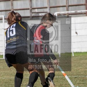 Fotografía H-143 de (03) 2026-05-10 Nerwbery 12 de Octubre