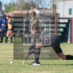 Fotografía H-145 de (03) 2026-05-10 Nerwbery 12 de Octubre