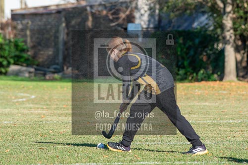 Fotografía H-15-1 de (03) 2026-05-10 Nerwbery 12 de Octubre