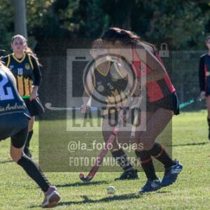 Fotografía H-155 de (03) 2026-05-10 Nerwbery 12 de Octubre
