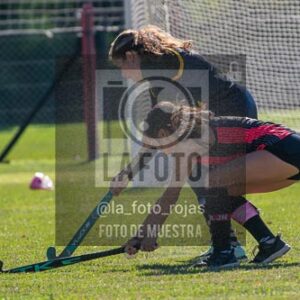 Fotografía H-159 de (03) 2026-05-10 Nerwbery 12 de Octubre