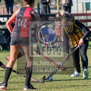 Fotografía H-16-1 de (03) 2026-05-10 Nerwbery 12 de Octubre