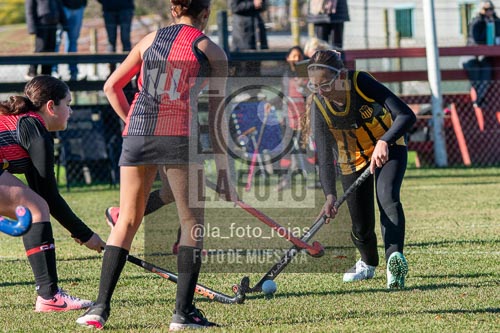 Fotografía H-16-1 de (03) 2026-05-10 Nerwbery 12 de Octubre