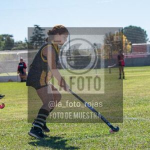 Fotografía H-160 de (03) 2026-05-10 Nerwbery 12 de Octubre