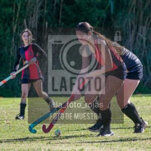 Fotografía H-161 de (03) 2026-05-10 Nerwbery 12 de Octubre