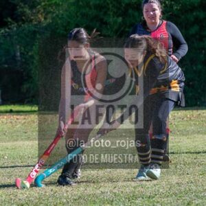 Fotografía H-162 de (03) 2026-05-10 Nerwbery 12 de Octubre