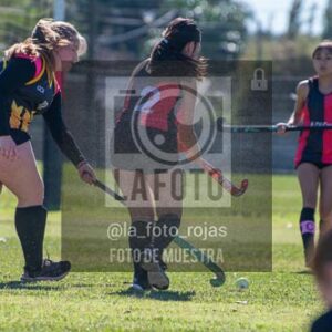 Fotografía H-163 de (03) 2026-05-10 Nerwbery 12 de Octubre