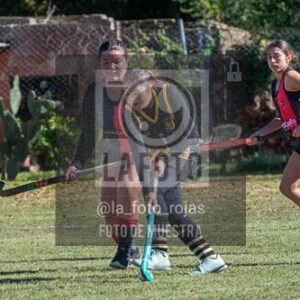 Fotografía H-164 de (03) 2026-05-10 Nerwbery 12 de Octubre