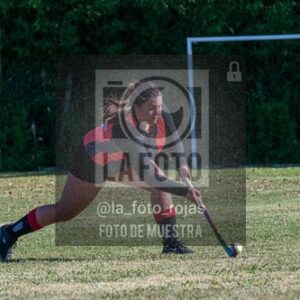 Fotografía H-165 de (03) 2026-05-10 Nerwbery 12 de Octubre