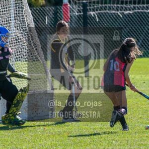 Fotografía H-166 de (03) 2026-05-10 Nerwbery 12 de Octubre