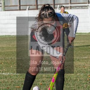 Fotografía H-17-1 de (03) 2026-05-10 Nerwbery 12 de Octubre